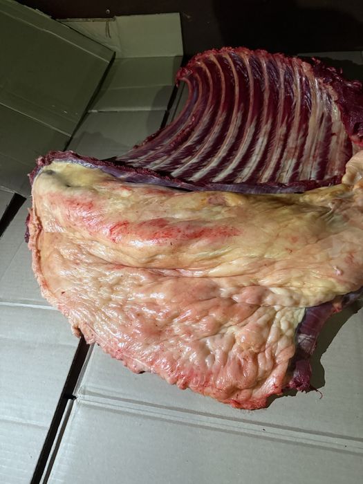 семиз байтал бар согымга