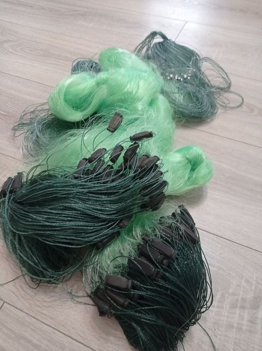 Plase pescuit verde