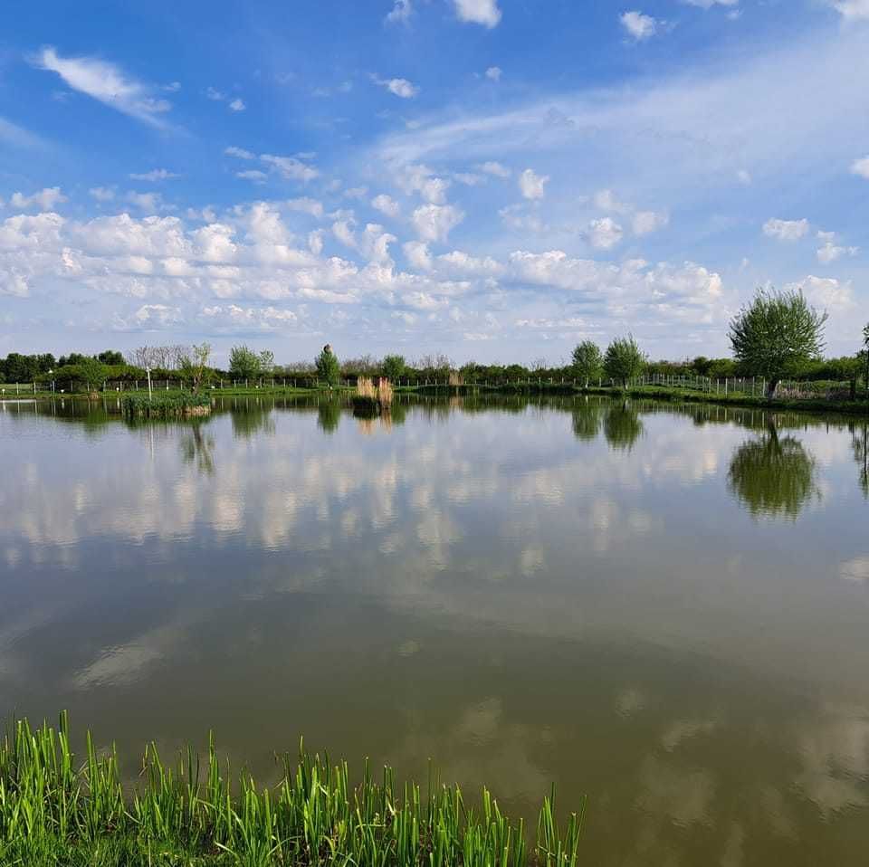 Vând baltă de pescuit în Boghiș, Satu Mare 2 Ha Intravilan front 185 m