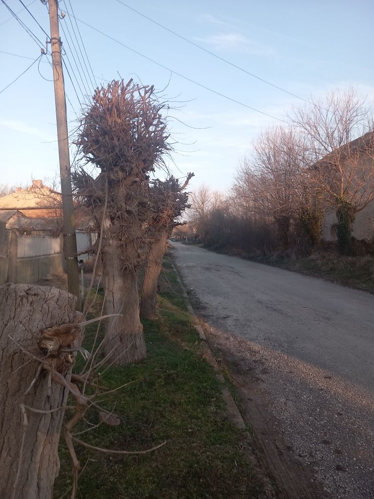 Продавам къща с голям двор