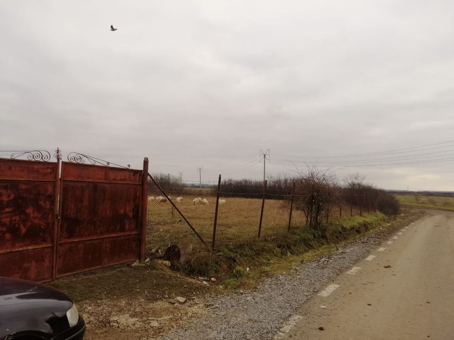 Vând teren de 3000mp cu casă în Gepiu