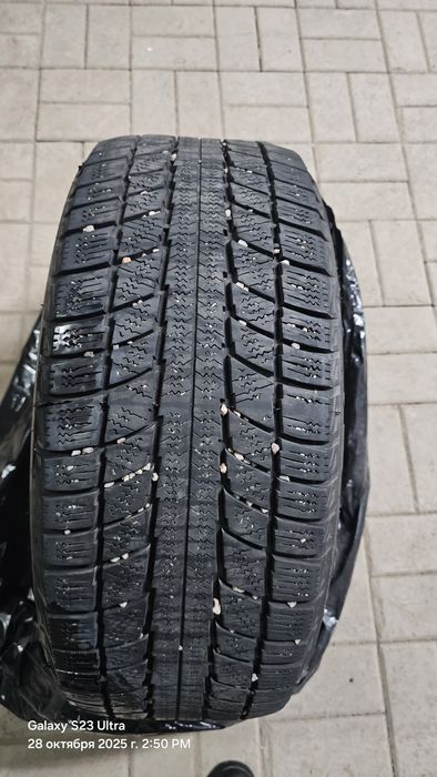 Шины  зимние  205/55 R16