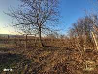 Teren intravilan 6050 mp cu priveliste asupra orasului, str. Gh. Doja