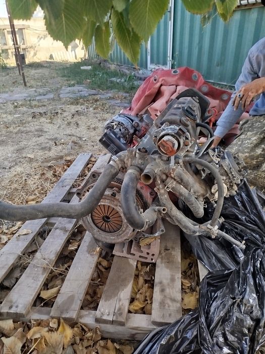 Продаётся Абу Матор