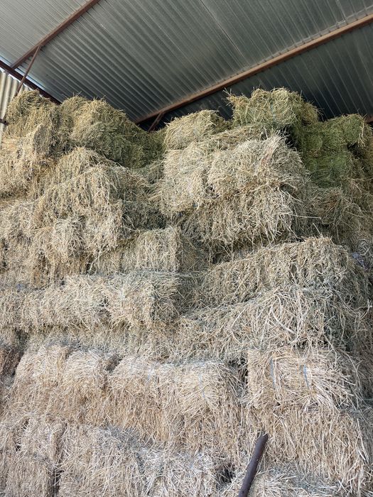 Baloti mici de lucerna