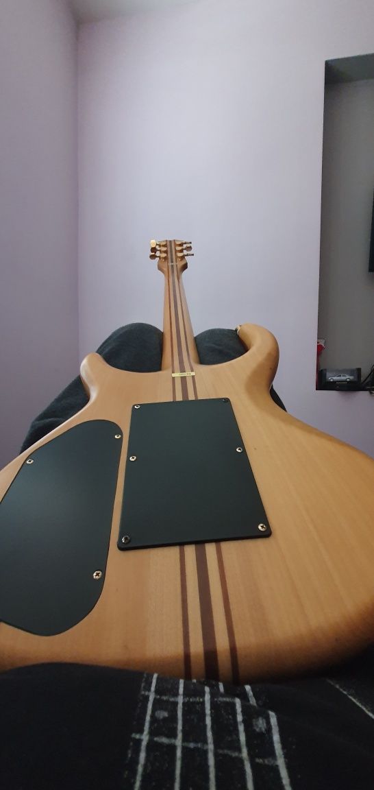 Samikc electric  guitar