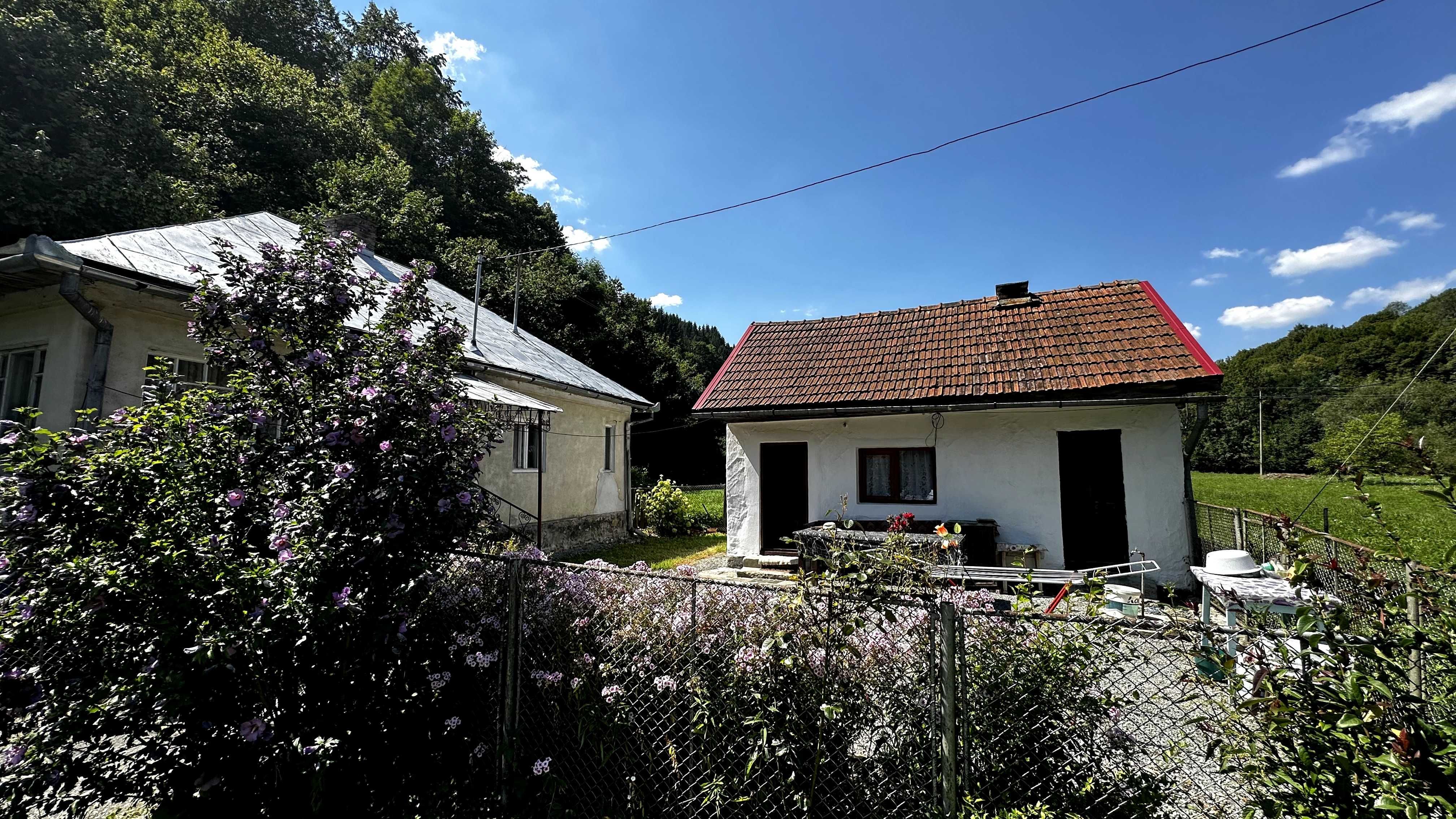 Teren 2,5 ha + casă locuibilă – Ciuruleasa, Munții Apuseni, jud. Alba