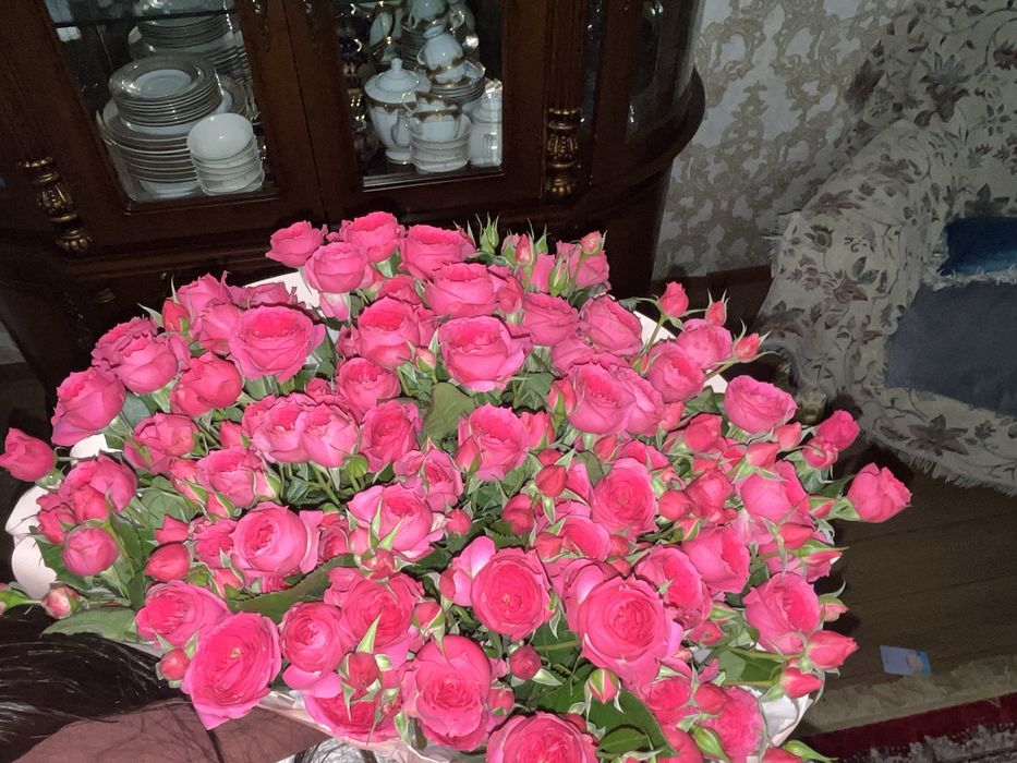 Цветы.Спрей розы