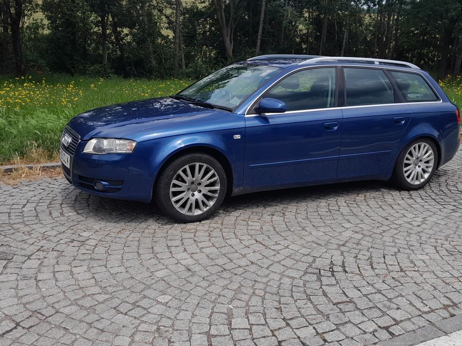 Audi A4  2005 2.0(140Cp) Dezmembrez