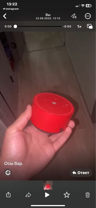 Продам алису срочно