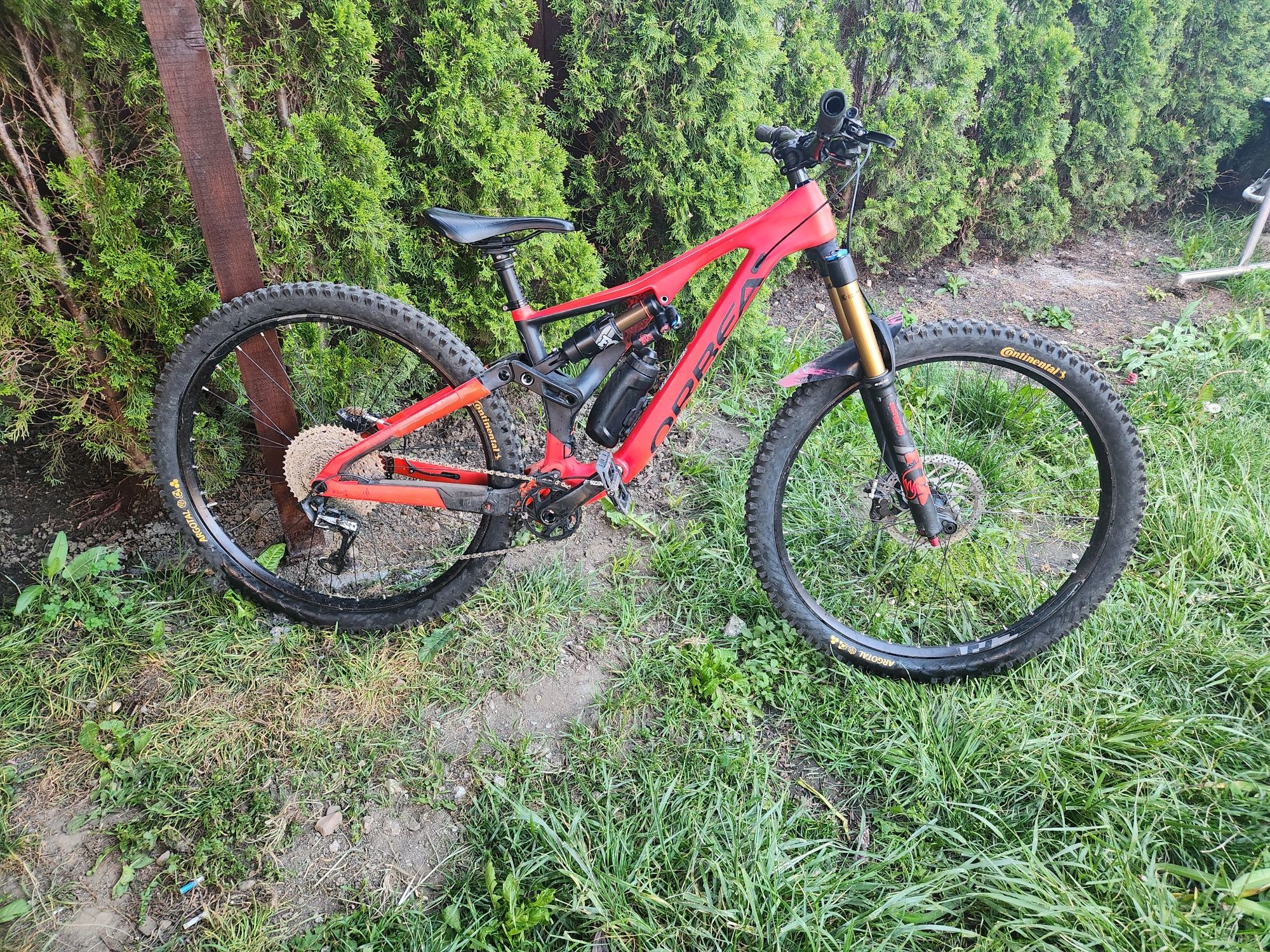 Orbea Rallon Carbon 2020 full kashima enduro downhill