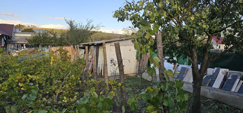 De vanzare teren cu dependințe (casa și magazie) în comuna Grivița