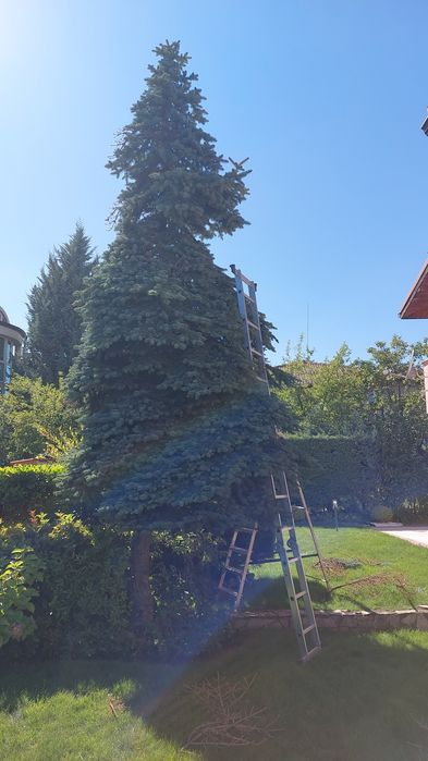 Почистване на дворове. Косене на трева, храсти, рязане на дървета.