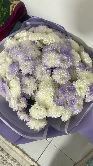 Продам срочно цветы