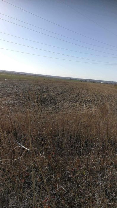 Vand teren arabil extravilan langa Craiova, 7 euro/mp negociabil