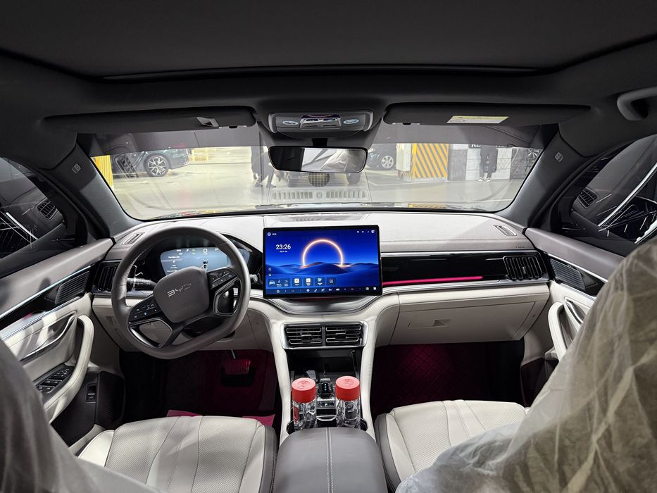 Byd champion smart srochna