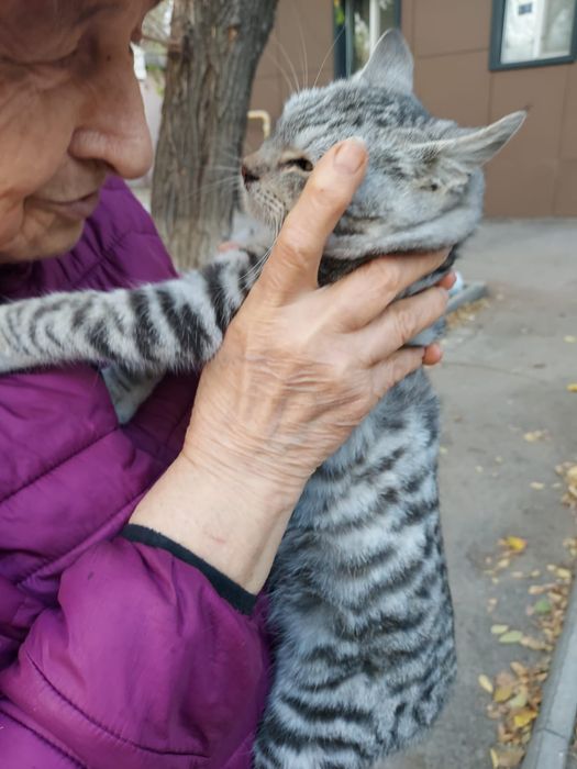 Йося ищет любящий дом!