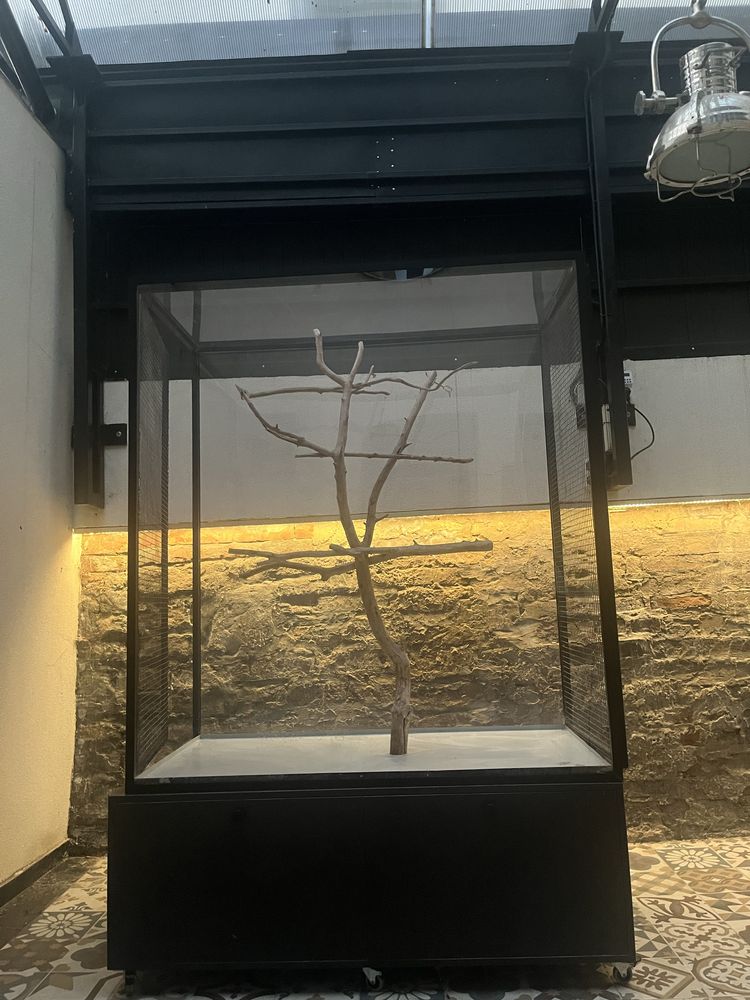 Cusca papagali/pasari