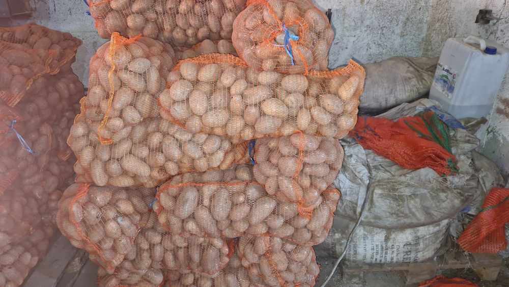 Cartofi calitatea 1,, alb Carrera și Captiva