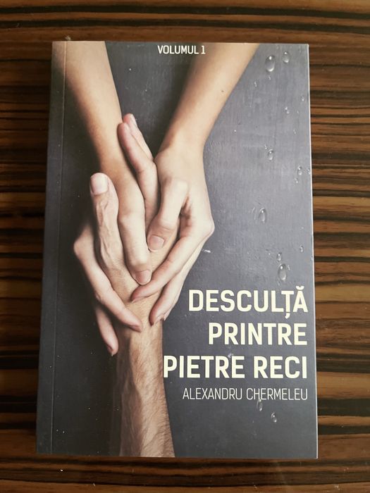 Desculta printre pietre reci de Alexandru Chermeleu