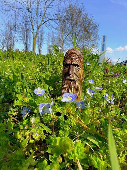 Sculpturi și topoare gravate
