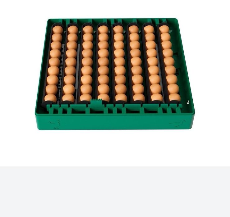 Vând incubator EU PROFI