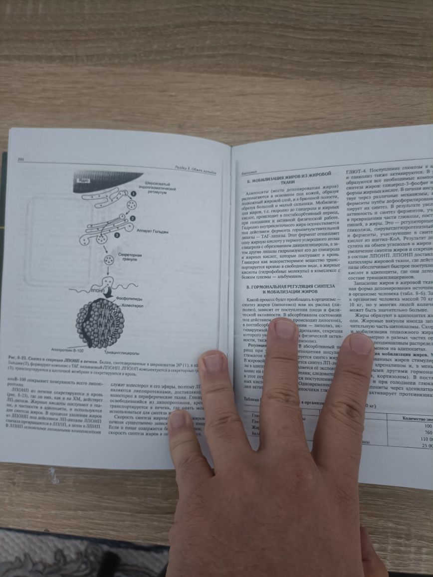 Биохимия Северин 5-е издание. Медицинская литература.