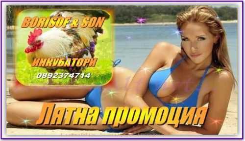 Инкубатори - български