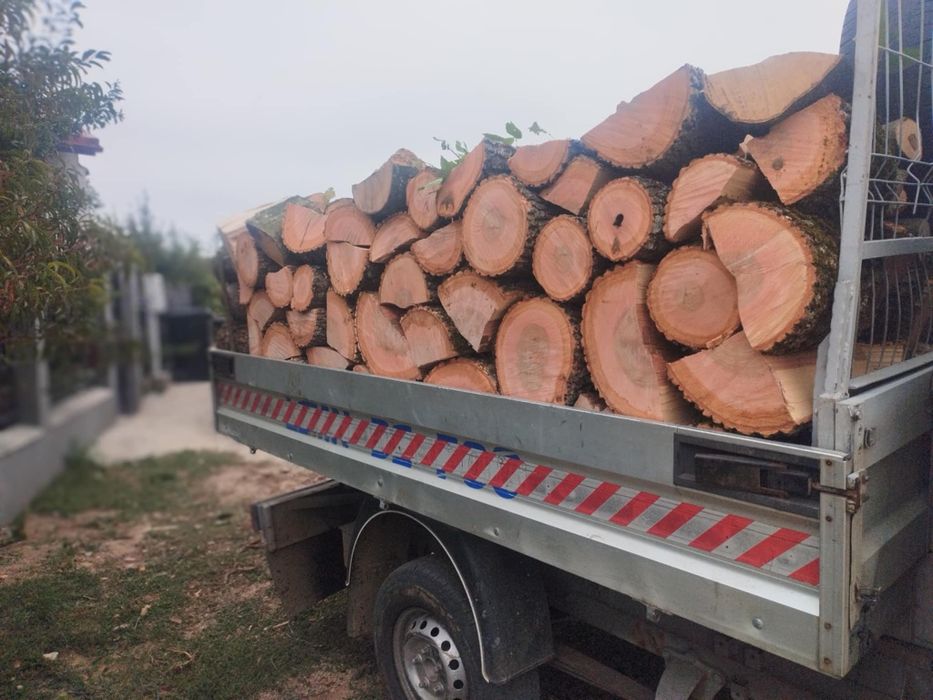 Lemne de foc fag carpăn frasan stejar
