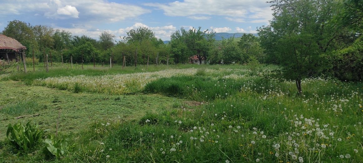 Косене на трева,рязане на дърва