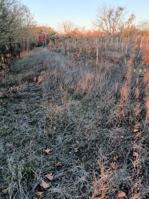 563-Продава се парцел в местността ”Дянковски Път”!