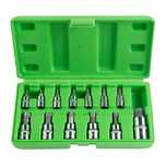 DSD TOOLS 13PC set de biti in stea DS1235