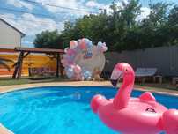 Arcada baloane gender reveal Decor baby shower Photocorner ARTIFICII