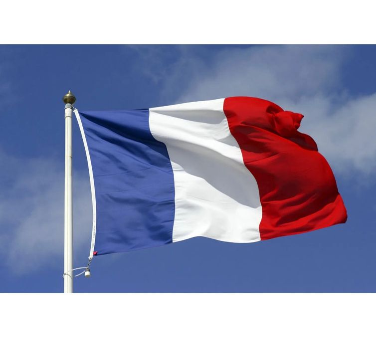 Флаги Франции, Германии,Италии, Японии, Америки, Украины, Южной Кореи