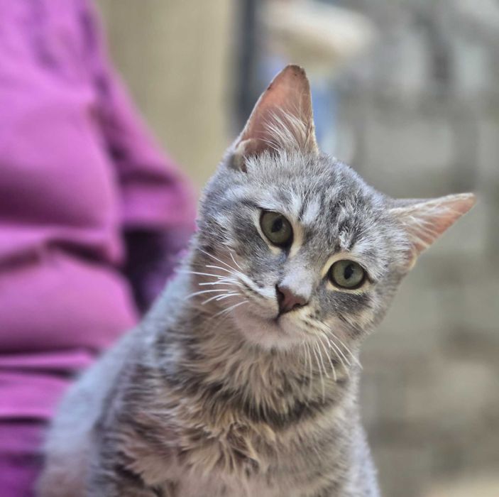 Малыш ищет семью!