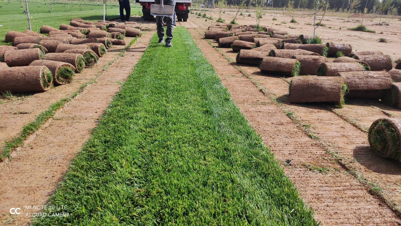 Landshaft qilmoqchimisiz unda biz sizga yordam beramiz