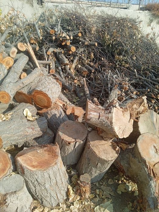 Beda va oʻrik oʻtini sotiladi