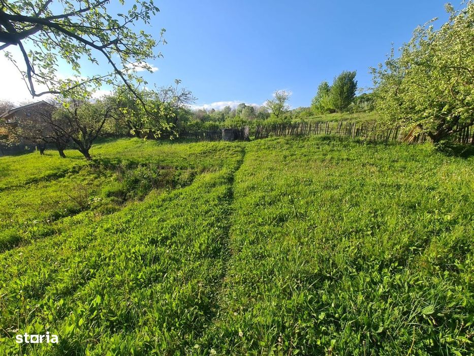 Teren intravilan de vanzare