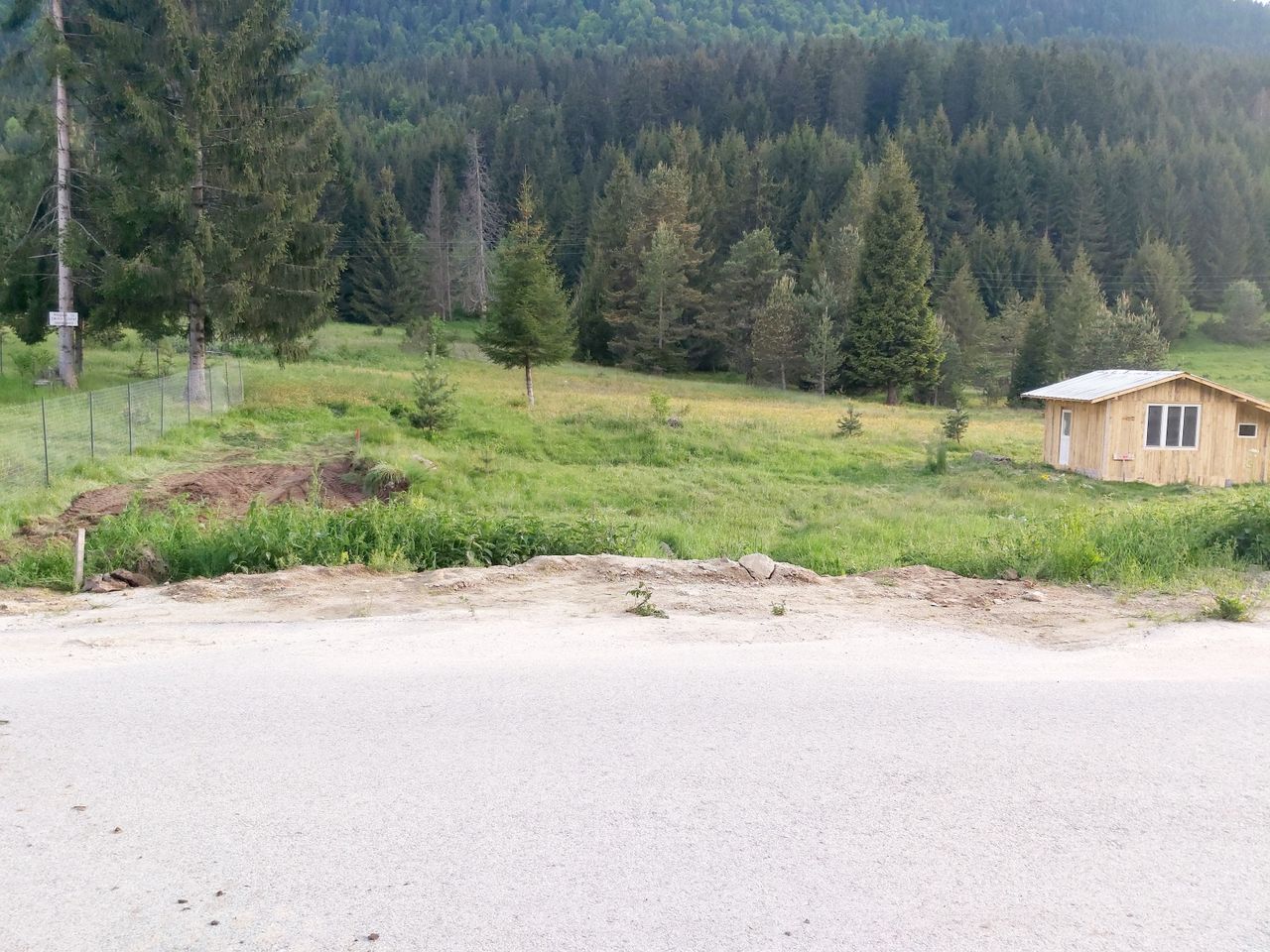 Продава се Парцел в Сърница - 2683 кв.м за 31 €/кв.м - Снимка #2