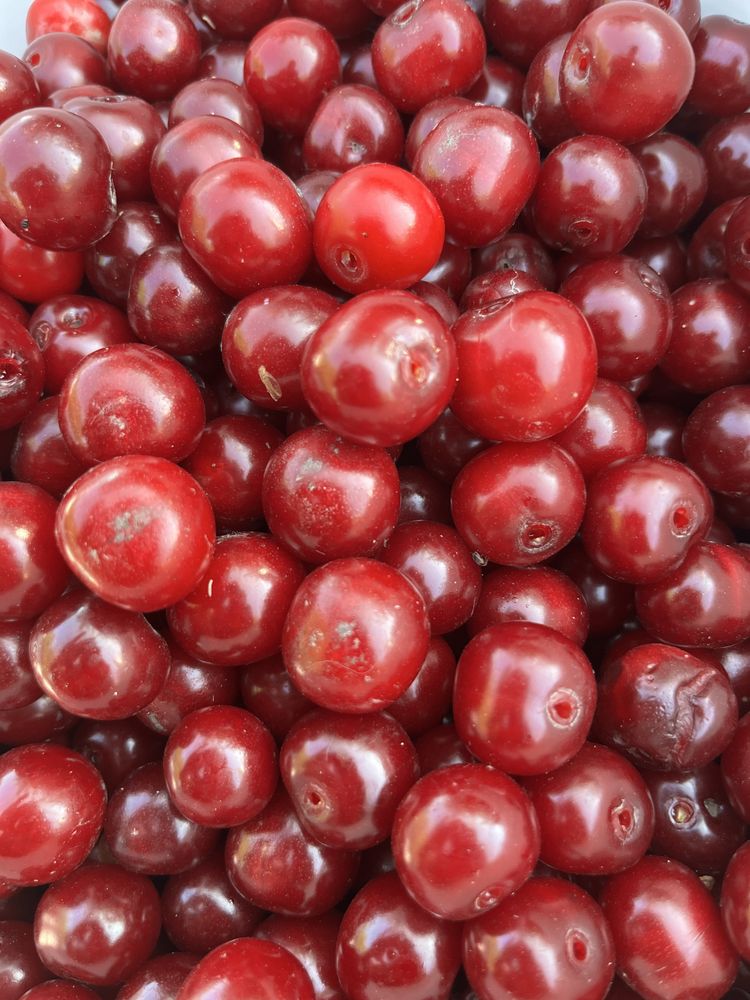 Продам вишню и крыжовник