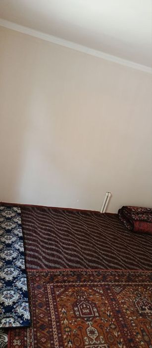 Ижарага куямиз кизлар ни