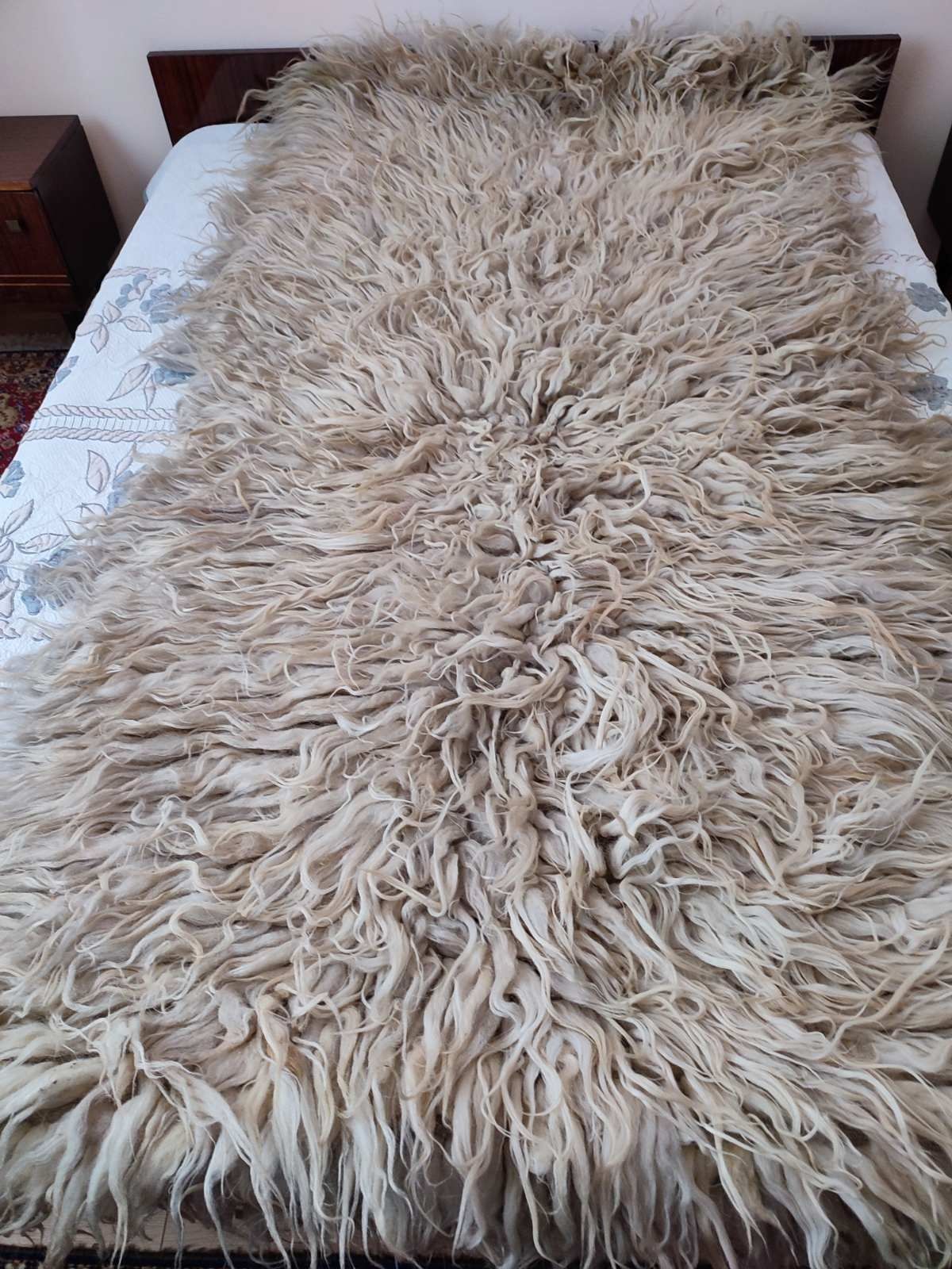 Китеници различни