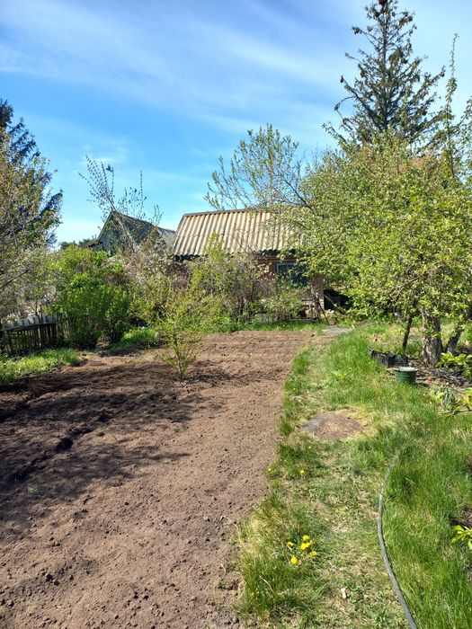 Продам дачу сад Здоровье