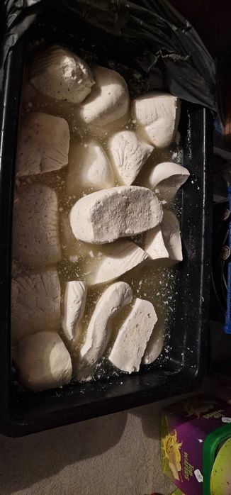 Vand branza oaie si capra