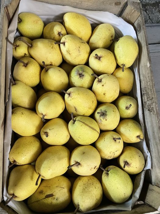 Топ качество до адрес-Картоф, Лук и Круша