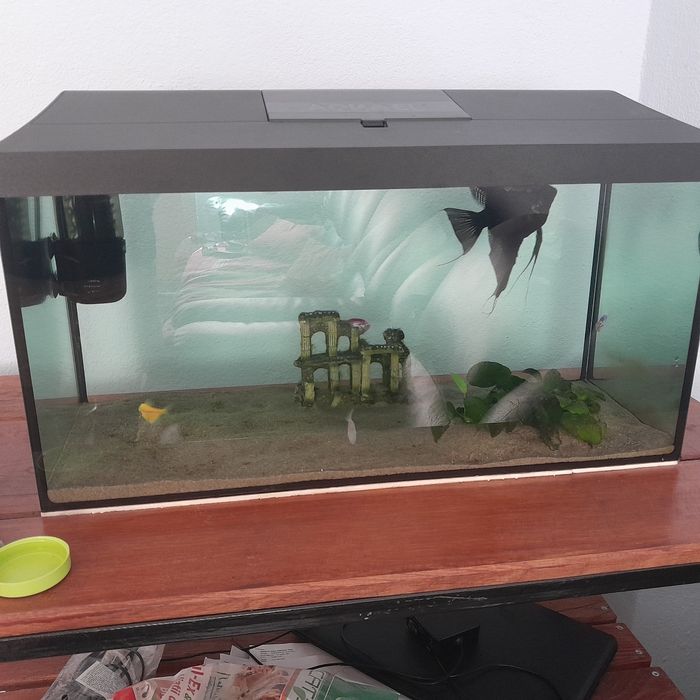 Acvariu Aquael 54 litri