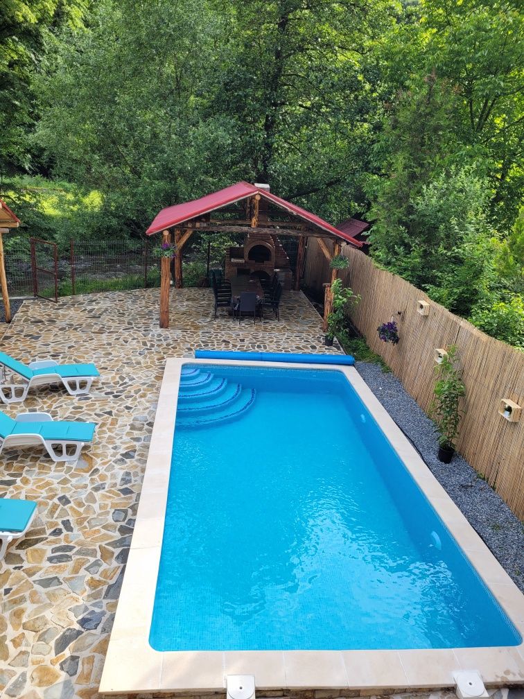 Cabana cu piscina de inchiriat in Valea ierii