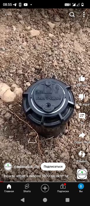 Palif va Avtopalif xizmati