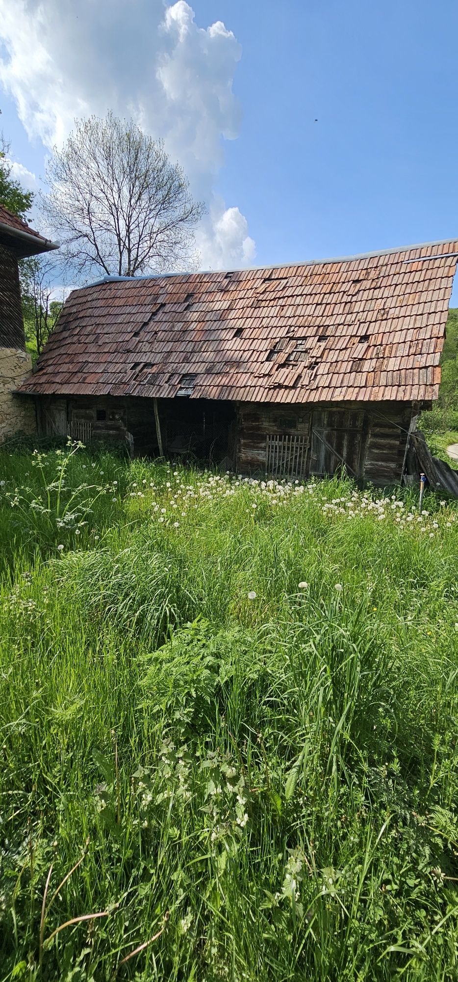 Casă de Vânzare Trans-Apuseana