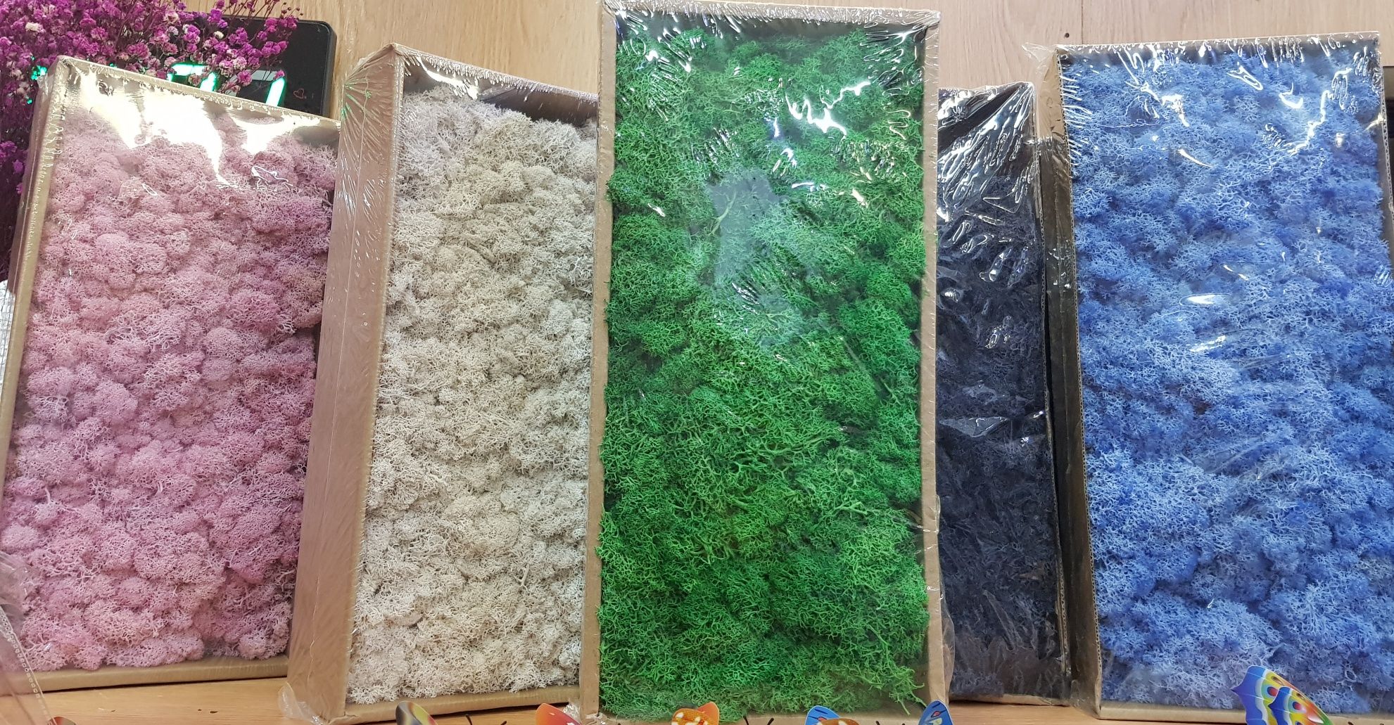 Licheni decorativi stabilizati 500 grame diverse culori